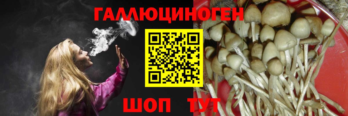 Галлюциногенные грибы GOLDEN TEACHER Наро-Фоминск